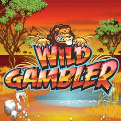 Recensione slot wild gambler