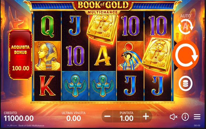 Slot-Book-Of-Gold-Multichance